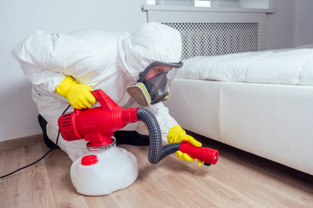 Best Wasp Removal Services  in Jackson, WY