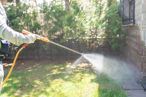 Best Local Pest Control Services  in Jackson, WY